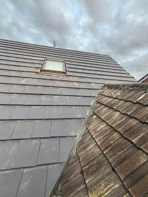 property maintenance